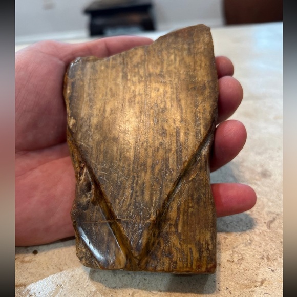 petrified wood - Picture 7 of 10